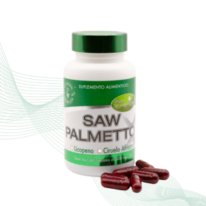 saw-palmetto